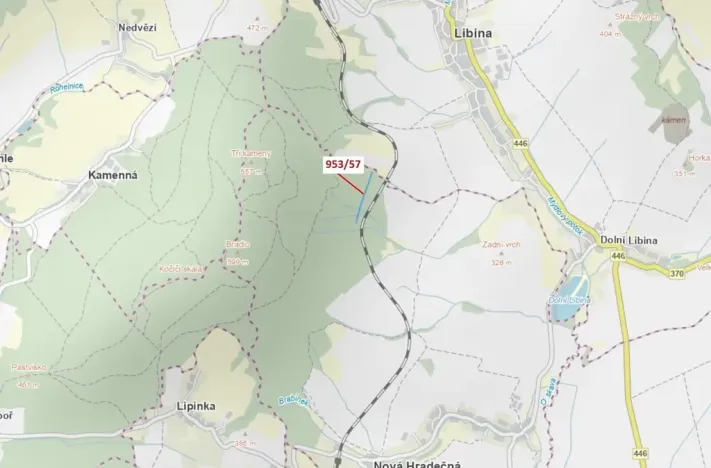 Dražba lesa, Nová Hradečná, 6750 m2