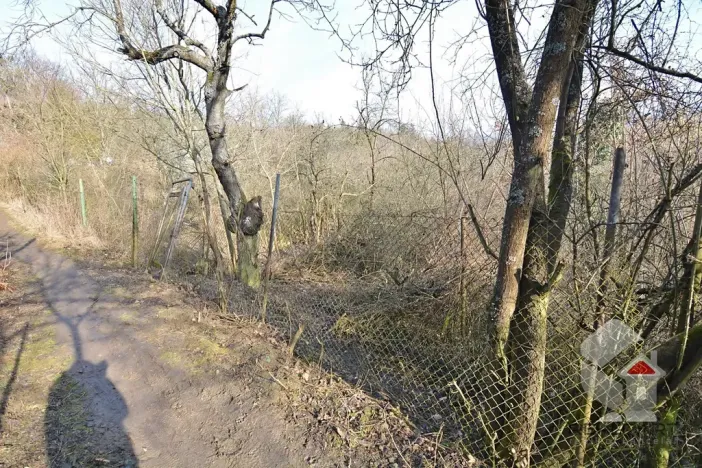 Prodej zahrady, Brno, Turistická, 207 m2