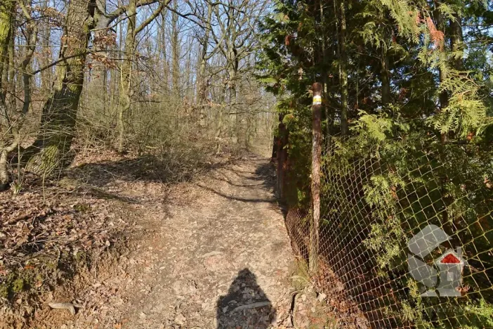 Prodej zahrady, Brno, Turistická, 207 m2