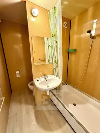 Pronájem bytu 1+kk, Plzeň, Toužimská, 32 m2