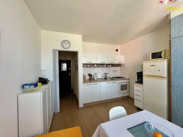 Prodej bytu 1+1, Třebíč, Modřínová, 38 m2