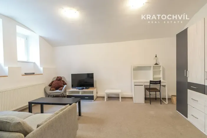 Prodej bytu 1+kk, Praha - Karlín, Březinova, 50 m2