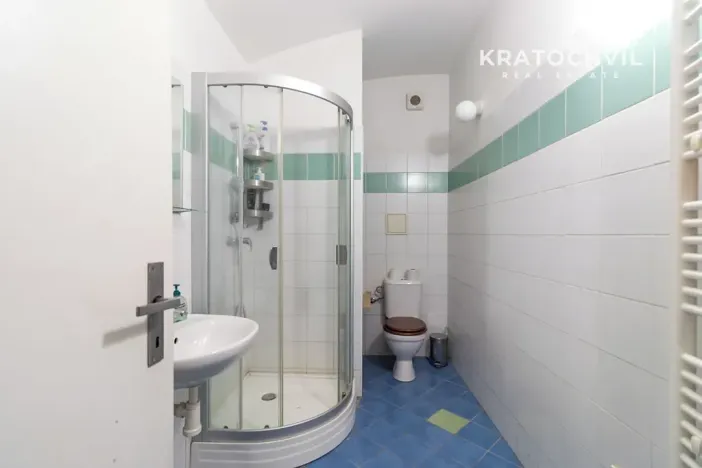 Prodej bytu 1+kk, Praha - Karlín, Březinova, 50 m2