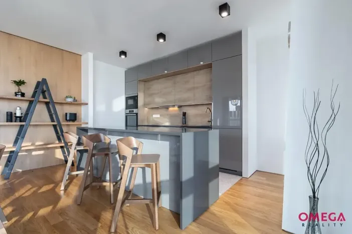 Pronájem bytu 3+kk, Praha - Krč, Milevská, 163 m2