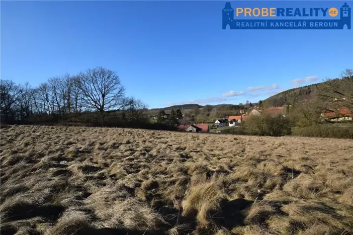 Prodej pozemku pro bydlení, Mirotice, 9991 m2