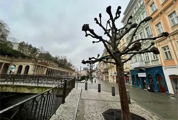 Prodej bytu 2+kk, Karlovy Vary, Vřídelní, 58 m2