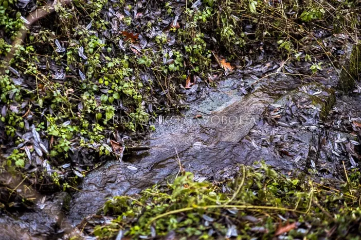 Prodej chalupy, Nevězice, 128 m2