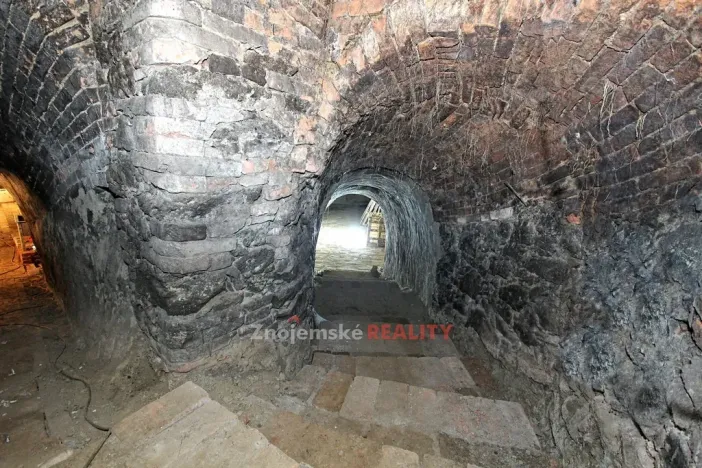 Prodej vinného sklepa, Chvalovice, 106 m2