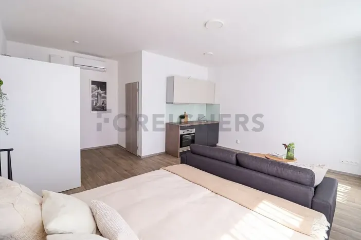 Pronájem bytu 1+kk, Brno, Bašty, 36 m2