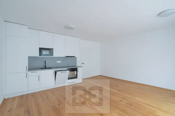 Pronájem bytu 1+kk, Praha - Košíře, Starokošířská, 43 m2