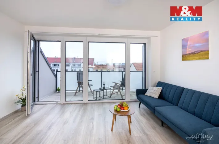 Prodej bytu 1+kk, České Budějovice - České Budějovice 6, Chelčického, 32 m2