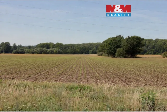 Prodej pole, Všestudy, 1355 m2
