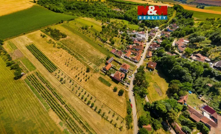 Prodej pozemku pro bydlení, Borkovany, 7835 m2