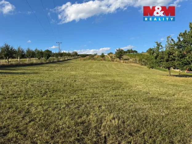 Prodej pozemku pro bydlení, Borkovany, 7835 m2