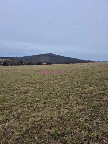 Prodej pozemku pro bydlení, Velká Bukovina, 1263 m2