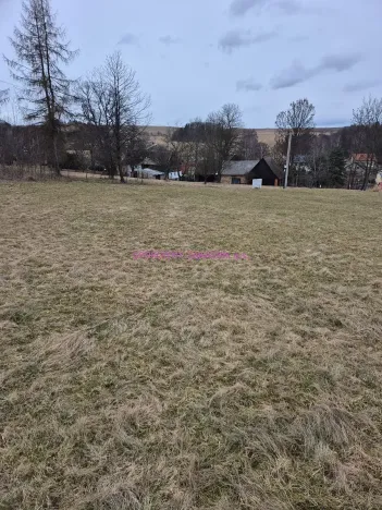 Prodej pozemku pro bydlení, Velká Bukovina, 1263 m2