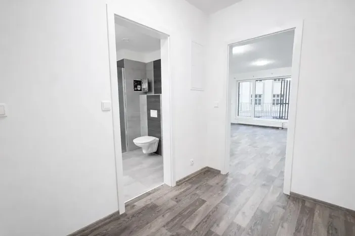 Pronájem bytu 1+kk, Liberec, U Nisy, 38 m2