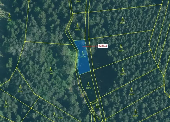 Dražba lesa, Hosty, 418 m2