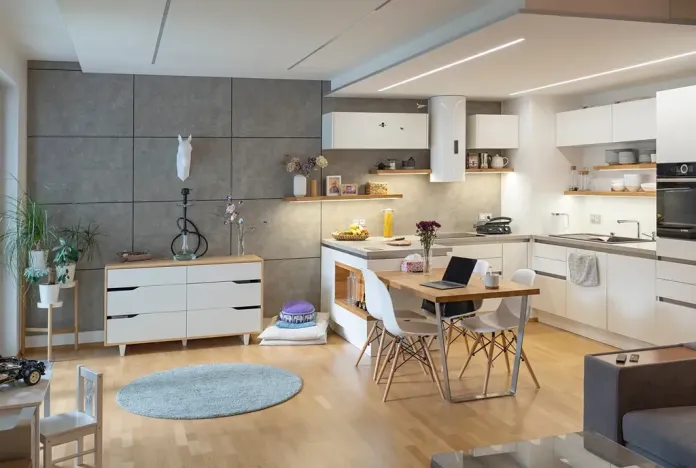 Pronájem bytu 2+kk, Praha - Žižkov, Olšanská, 69 m2