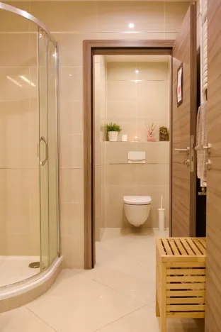 Pronájem bytu 2+kk, Praha - Žižkov, Olšanská, 69 m2