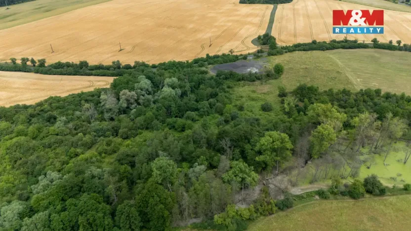 Prodej louky, Chabařovice - Roudníky, 46243 m2