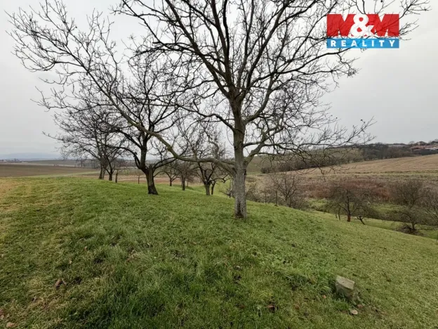 Prodej zahrady, Bezuchov, 901 m2