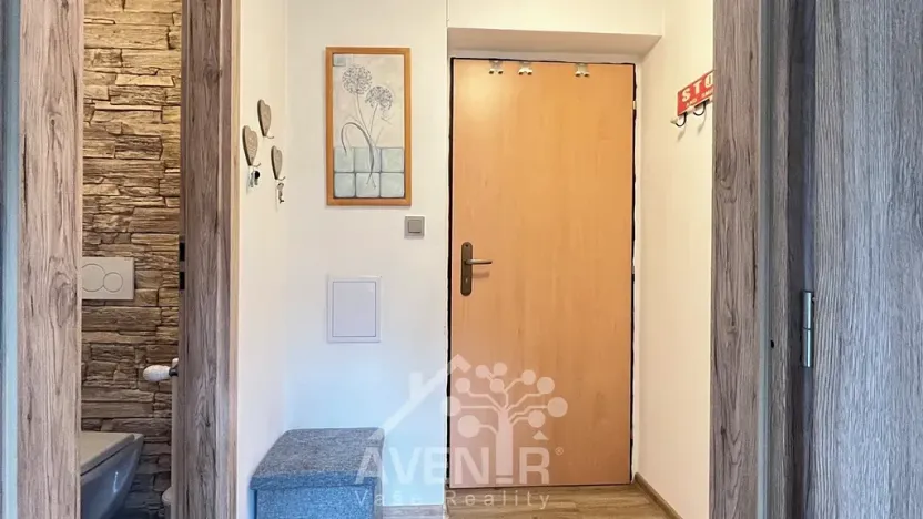 Pronájem bytu 1+1, Plavy, 45 m2