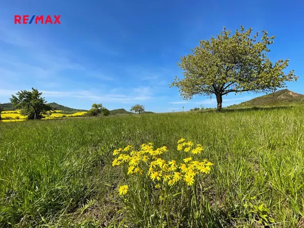 Prodej pozemku pro bydlení, Podsedice, 4847 m2