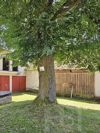 Prodej zemědělské usedlosti, Slabčice, 109 m2