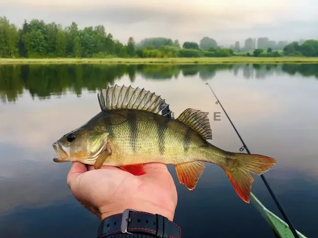 Prodej chaty, Horní Planá, 126 m2