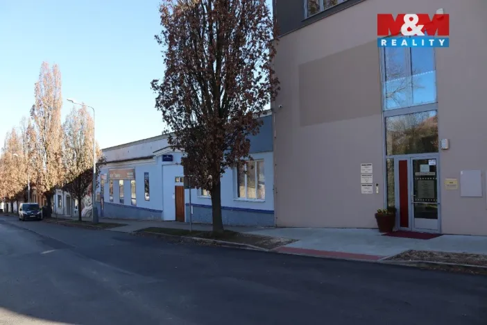 Prodej obchodního prostoru, Mělník, Krombholcova, 300 m2