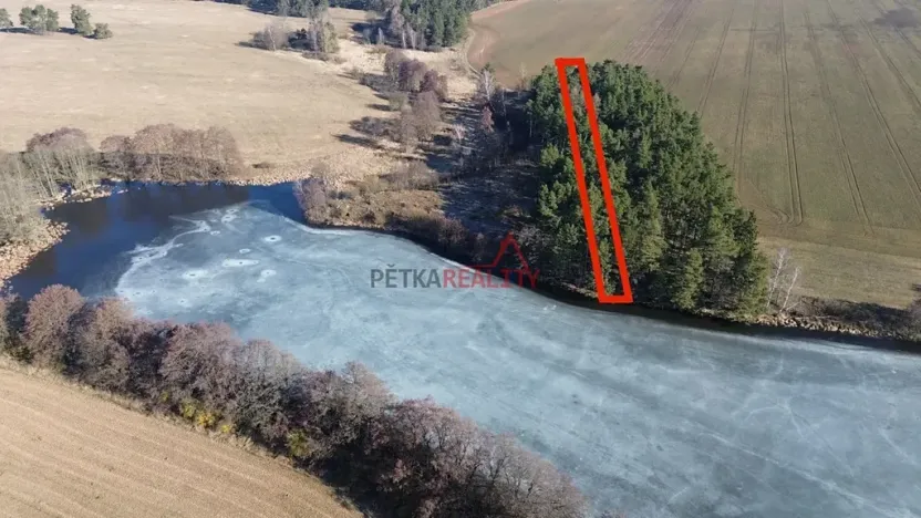 Prodej lesa, Čistá, 1294 m2