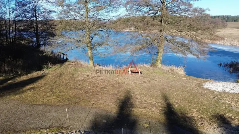 Prodej lesa, Čistá, 1294 m2