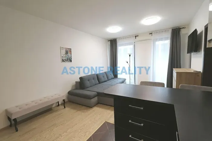 Pronájem bytu 2+kk, Praha - Žižkov, Olšanská, 59 m2