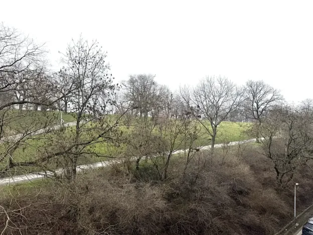 Pronájem bytu 1+kk, Praha - Žižkov, Kališnická, 40 m2