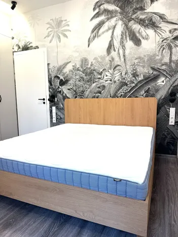 Pronájem bytu 2+kk, Praha - Žižkov, Blahníkova, 51 m2