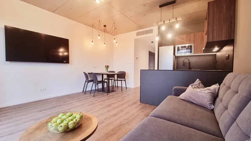 Pronájem bytu 2+kk, Brno, V rejích, 49 m2