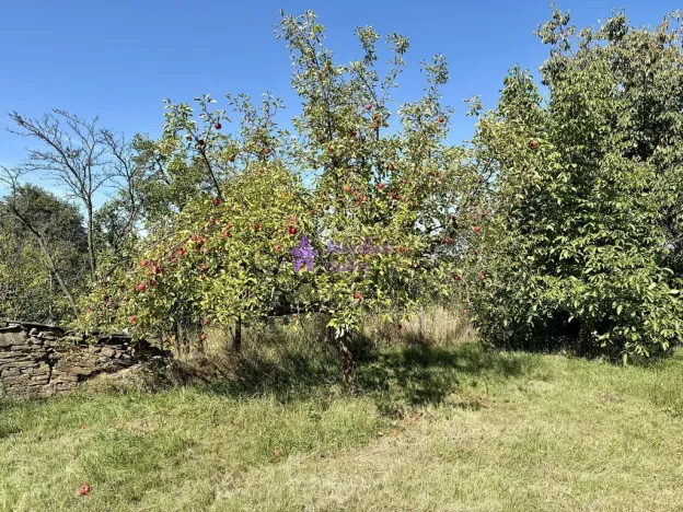 Pronájem zahrady, Olomouc - Droždín, Akátová, 1528 m2