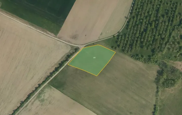 Prodej pole, Luže, 50940 m2