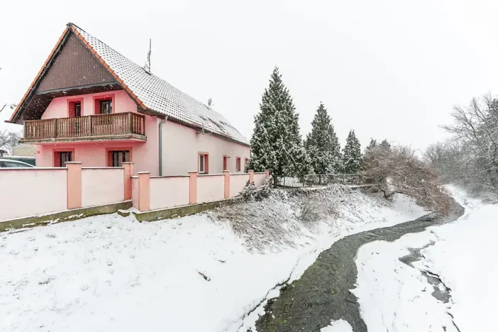 Prodej rodinného domu, Droužkovice, J. Švermy, 229 m2