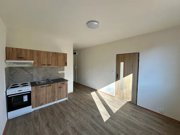 Pronájem bytu 1+1, Děčín, Na Pěšině, 36 m2