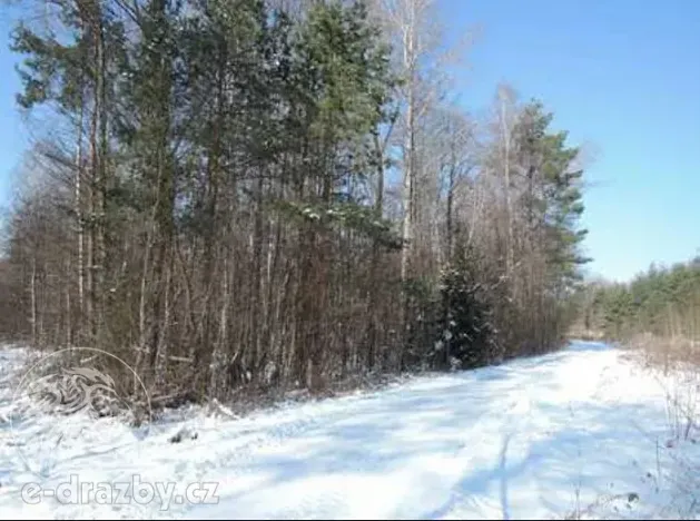 Dražba pozemku, Hamr na Jezeře, 23639 m2