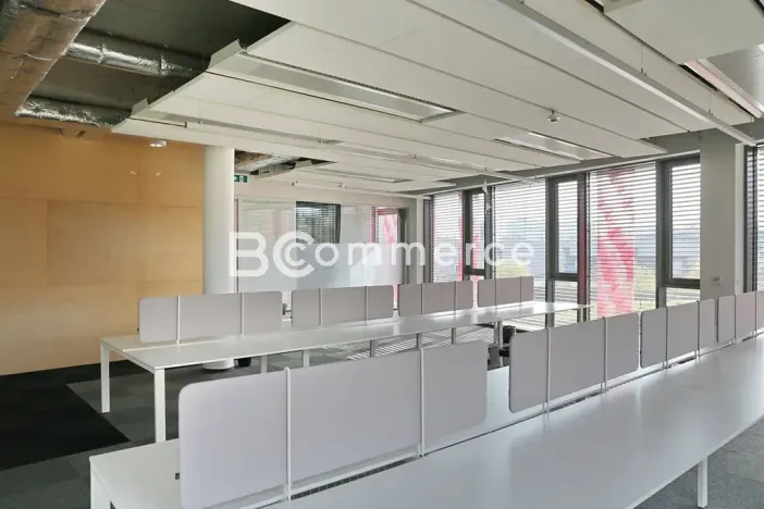 Pronájem kanceláře, Brno, 600 m2