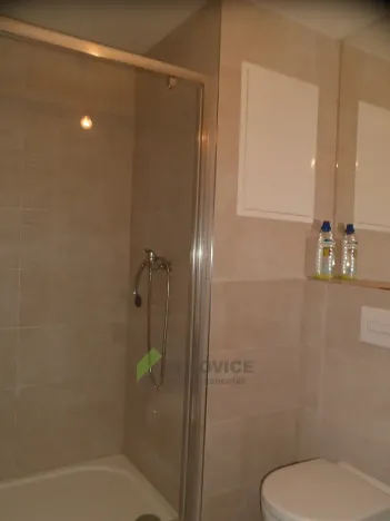 Pronájem bytu 1+kk, Milovice, Armádní, 27 m2