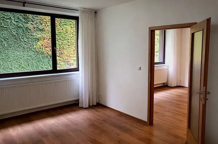 Pronájem bytu 2+kk, Brno, Štefánikova, 61 m2