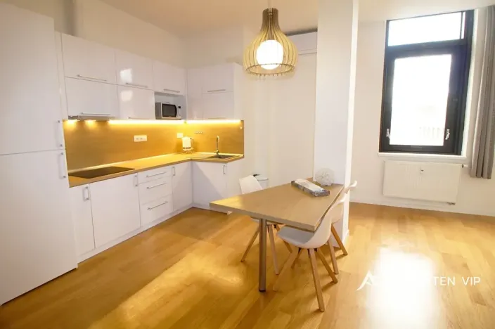 Pronájem bytu 1+kk, Brno, Kobližná, 54 m2