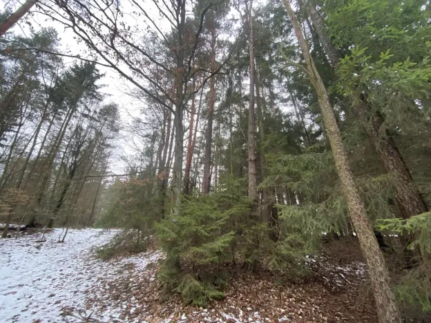 Prodej pozemku, Veliny, 180 m2