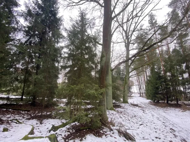 Prodej pozemku, Veliny, 180 m2