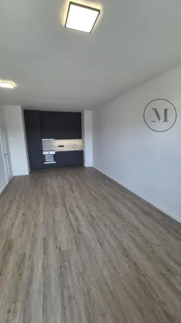 Pronájem bytu 2+kk, České Budějovice, Branišovská, 57 m2
