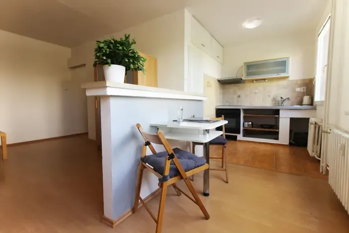 Pronájem bytu 1+kk, Teplice, Alejní, 31 m2